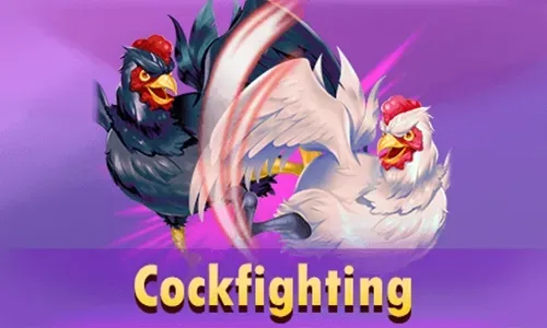 aceslotmmk - cockfight games