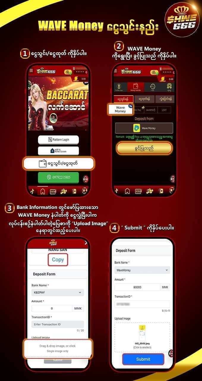 shwe666 ငွေသွင်းနည်း